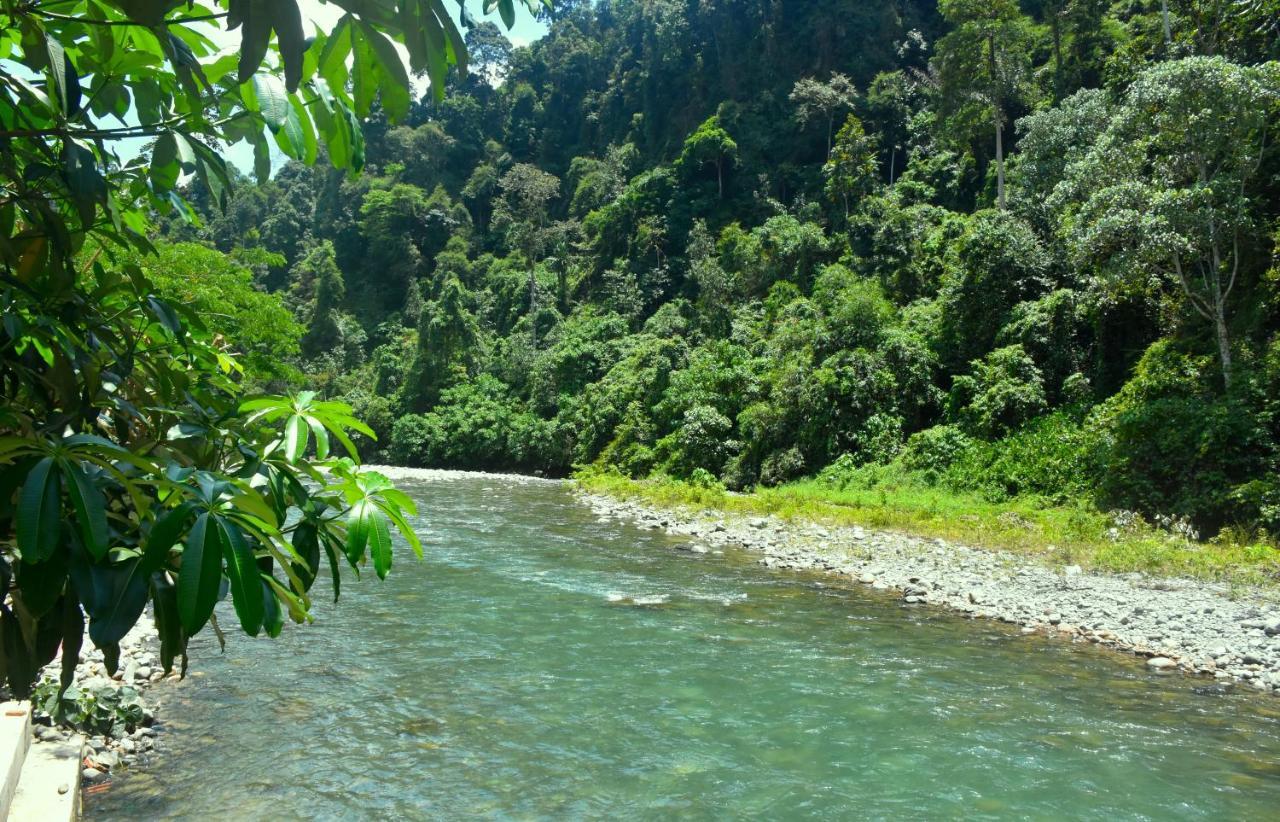 The Hangout@ Ecotravel Bukit Lawang Buitenkant foto