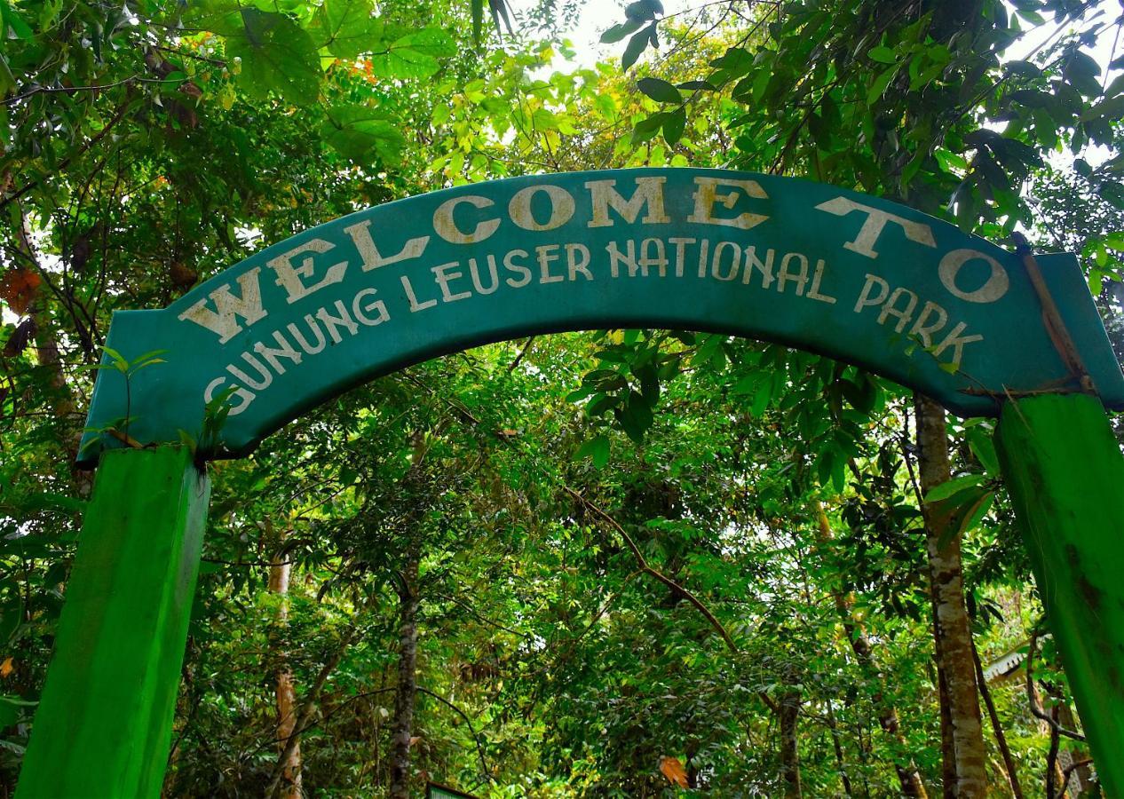 The Hangout@ Ecotravel Bukit Lawang Buitenkant foto